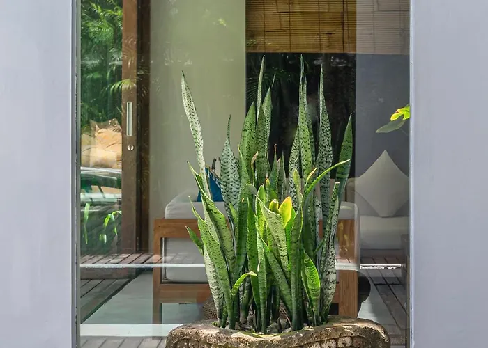 Puri Aman - Unique & Lush 3br Pool - Next To Gigi Susu & Walk To *